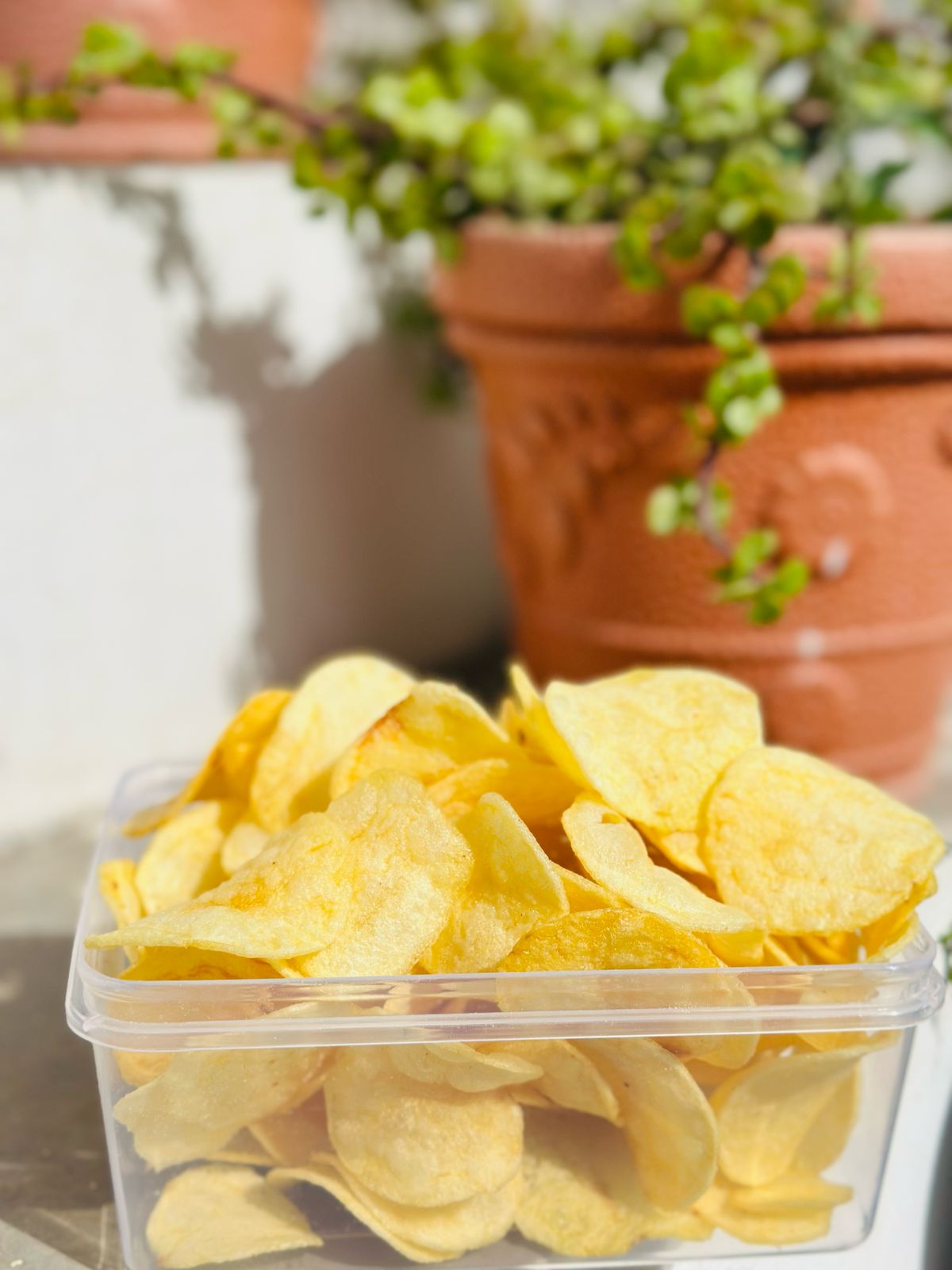 Potato Chips Salted Combo 2 packs of 100g each
